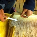 Whale Baleen